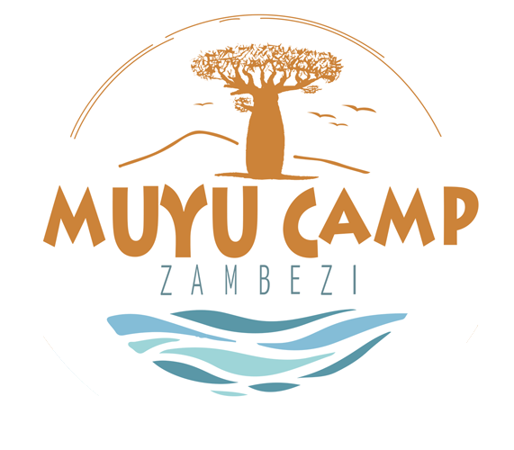 Muyu Camp Zambezi